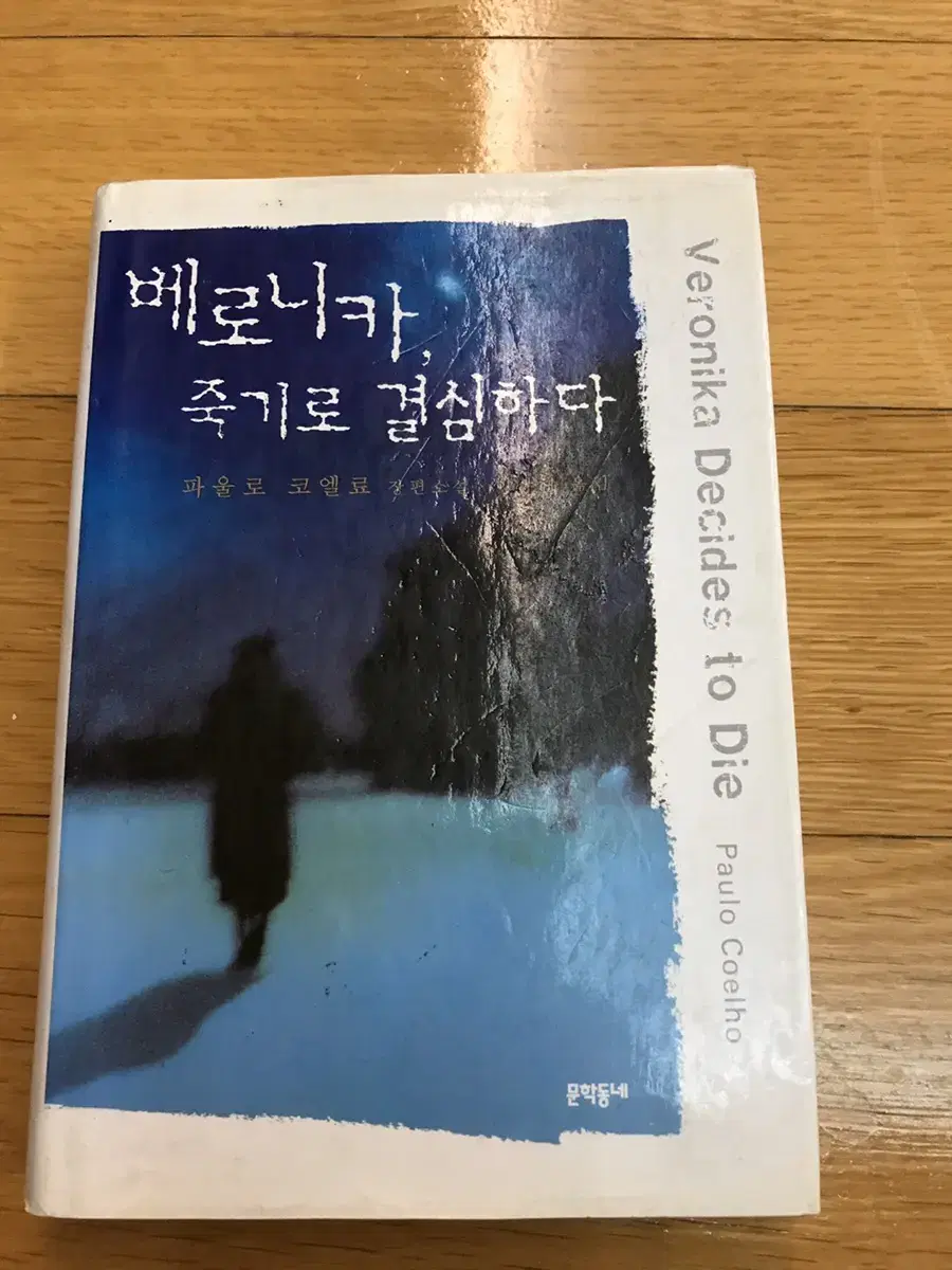 베로니카죽기로결심하다